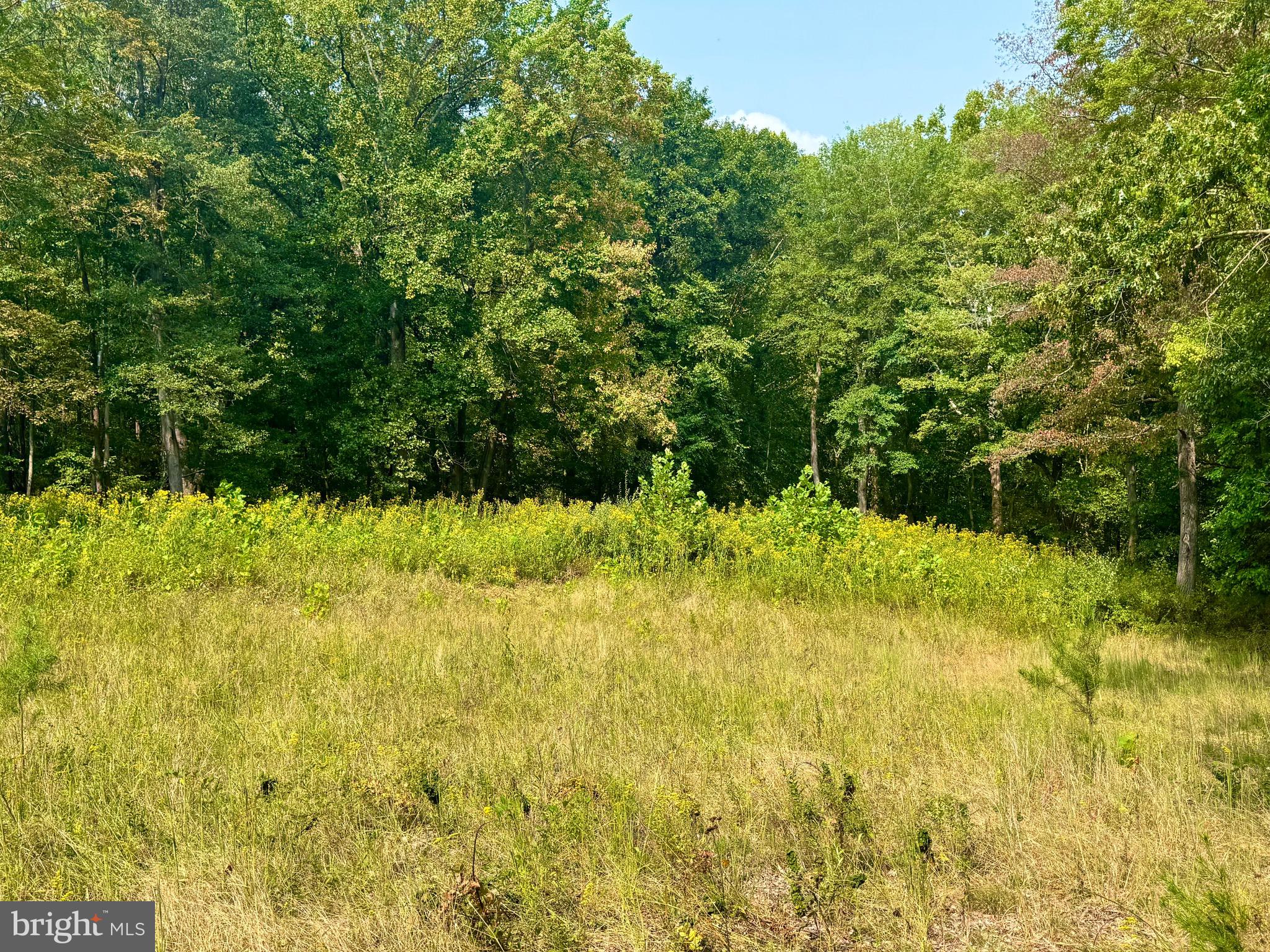 378 Indian Trail Seneca Rocks, WV 26884 - Photo 21 of 22