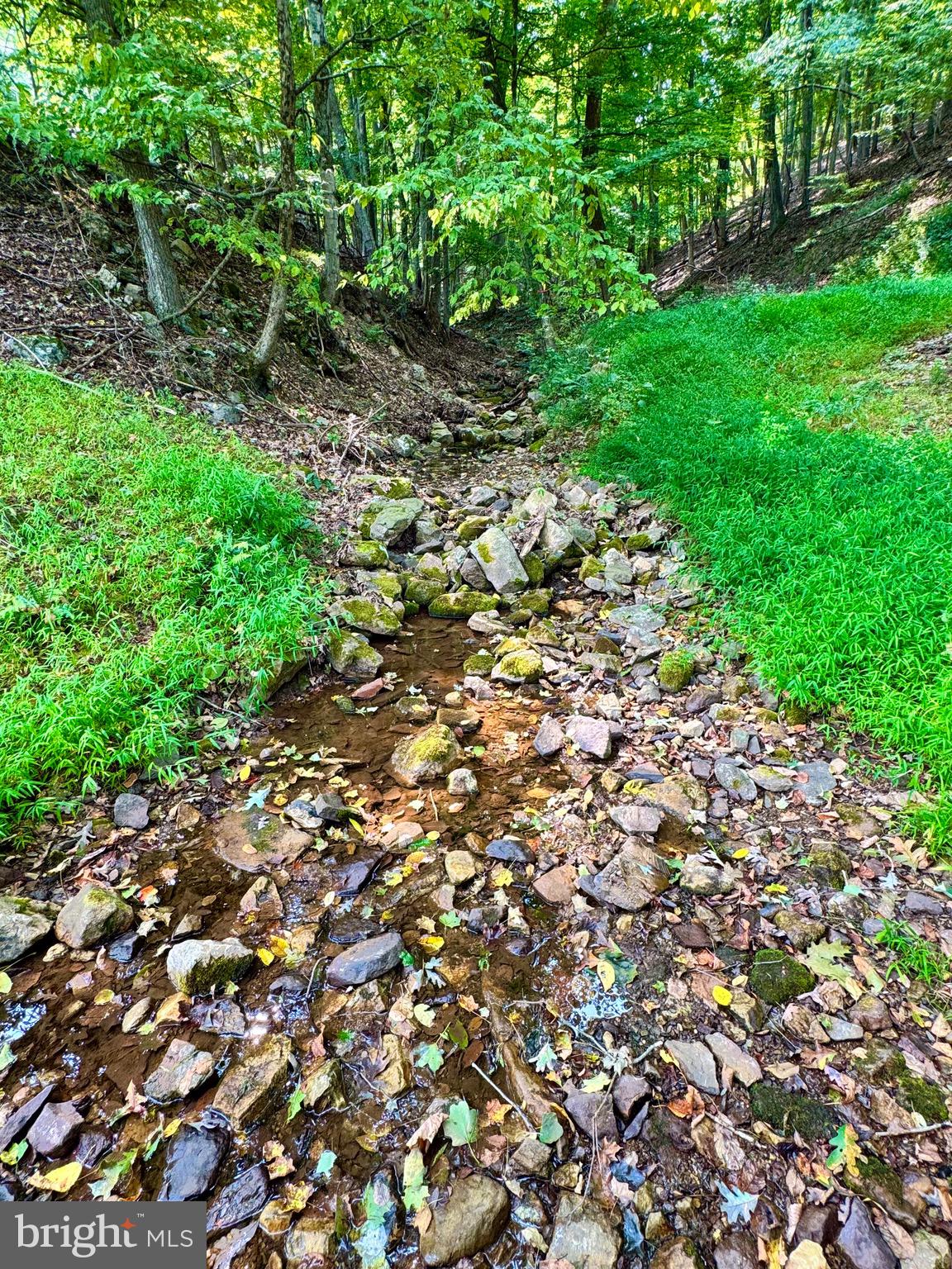 378 Indian Trail Seneca Rocks, WV 26884 - Photo 22 of 22 Spring on the property