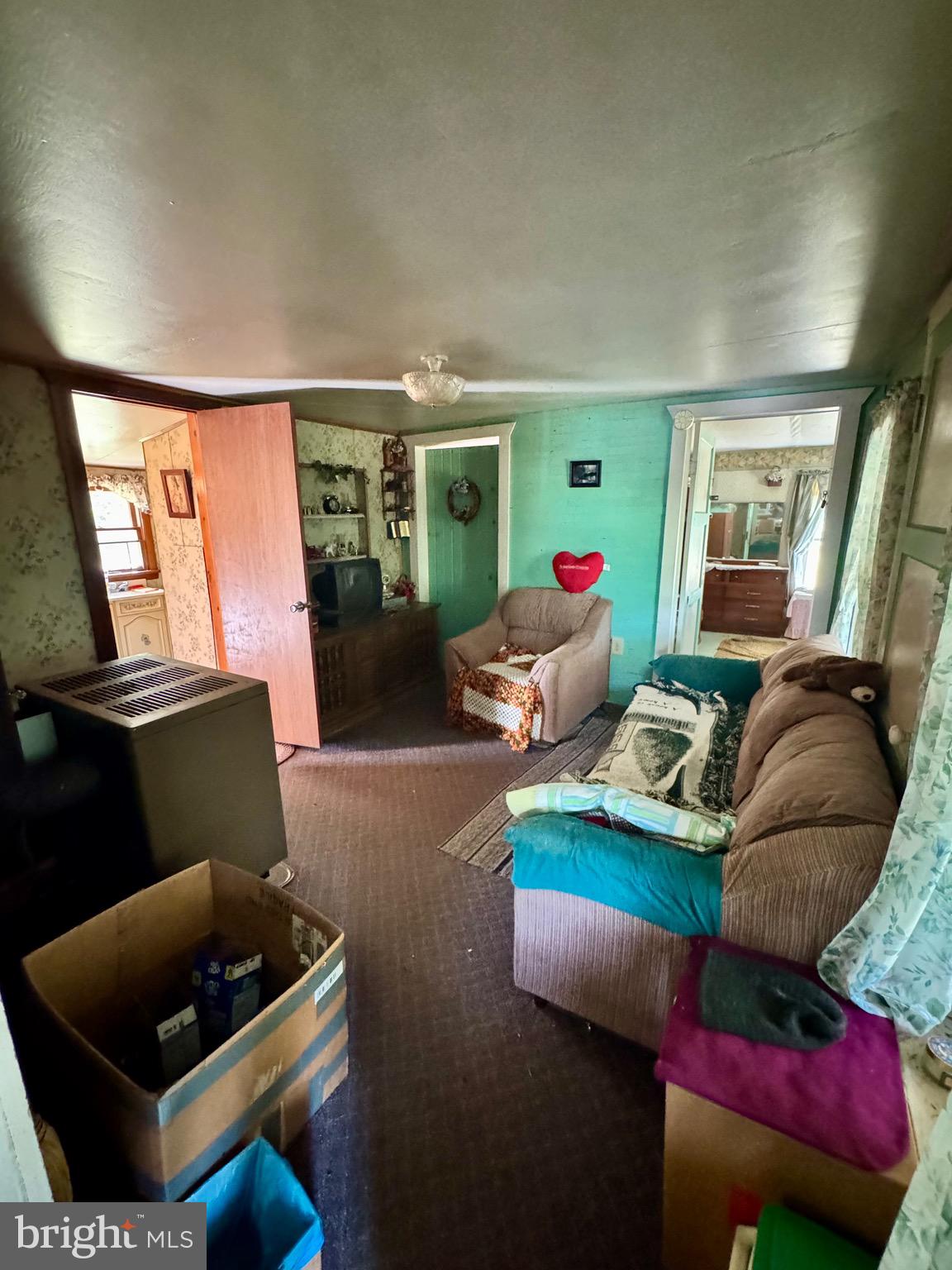 378 Indian Trail Seneca Rocks, WV 26884 - Photo 7 of 22