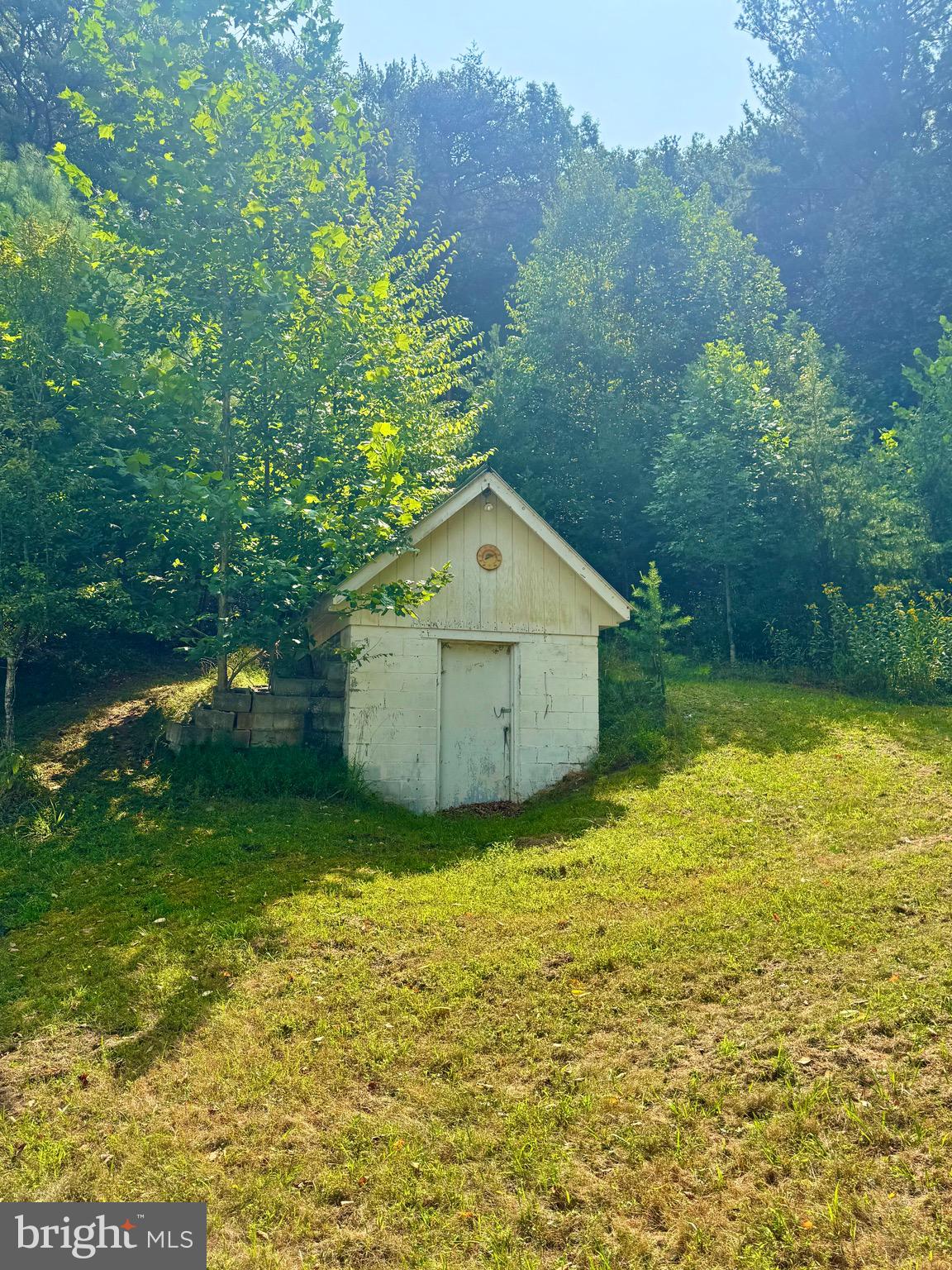 378 Indian Trail Seneca Rocks, WV 26884 - Photo 10 of 22
