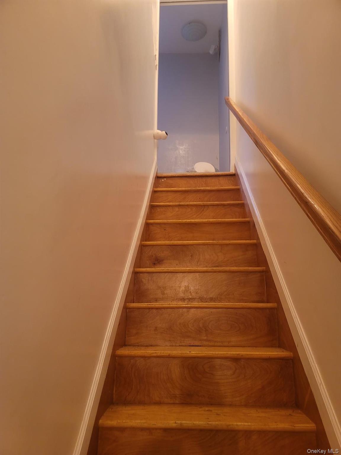 712 East 211th Street Bronx, NY 10467 - Photo 4 of 26