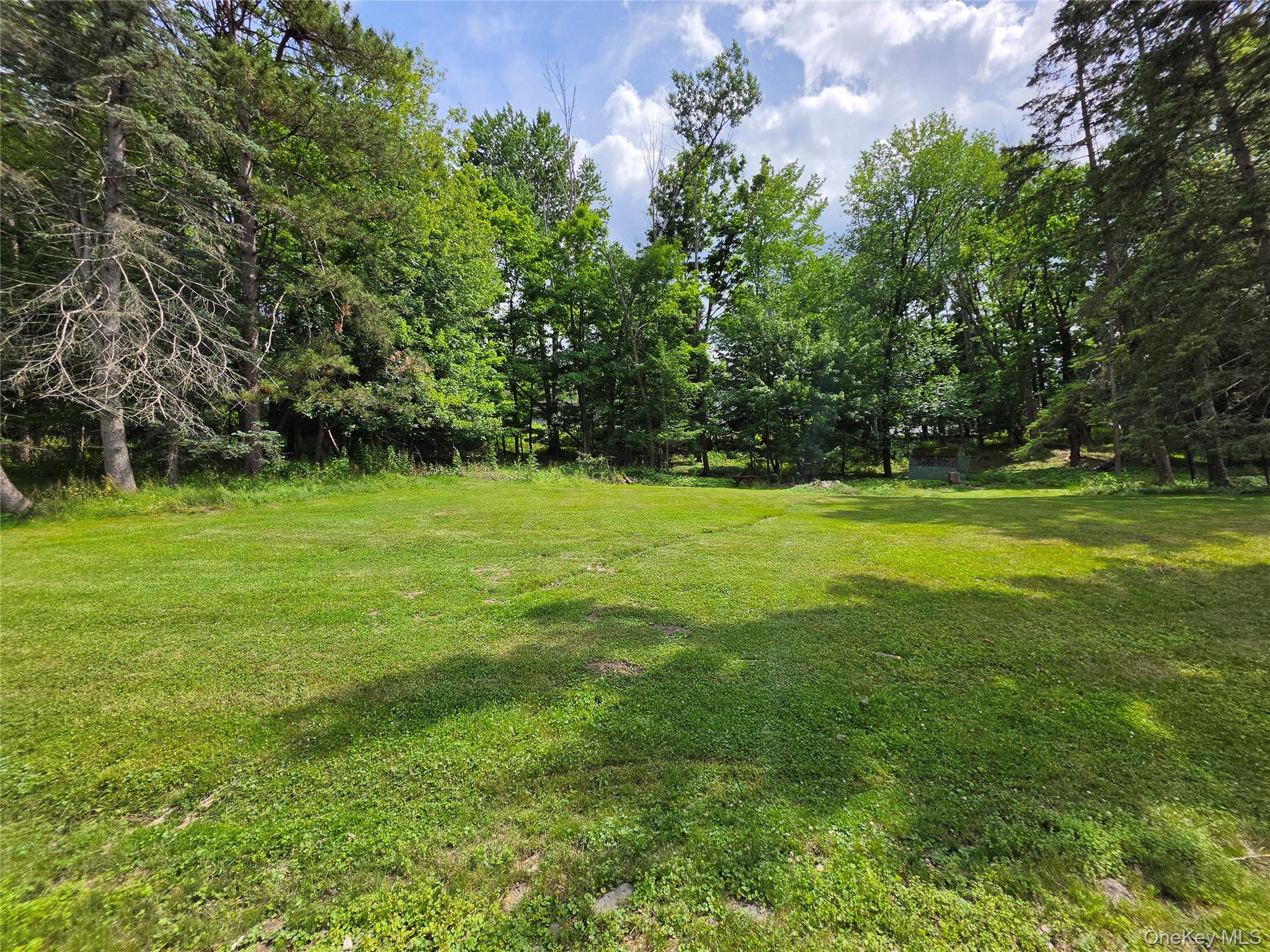 4804 Country Club Road Vestal, NY 13850 - Photo 14 of 15
