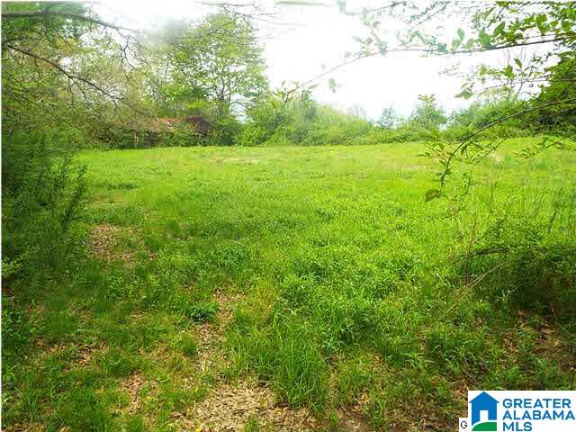 306 Hamm Road Blountsville, AL 35031 - Photo 6 of 28