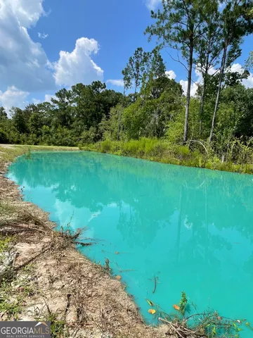 $199,900 | 13929 Raybon Road East, Nahunta, GA 31553