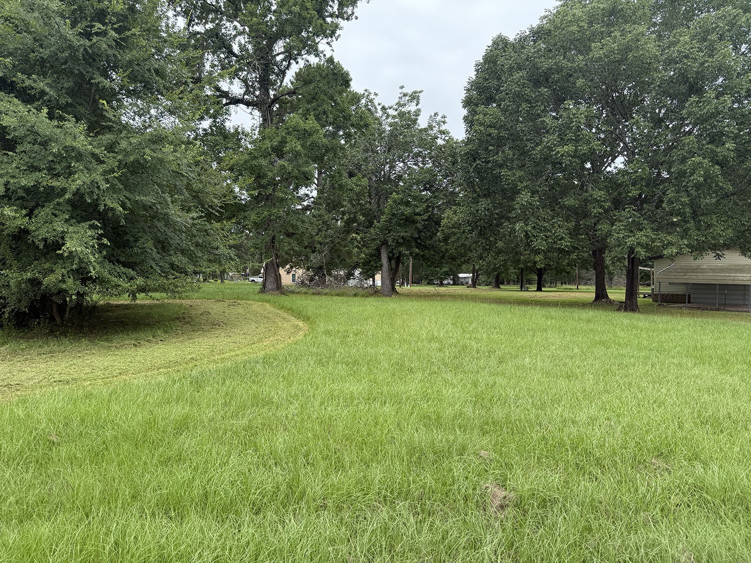 a view of outdoor space with deck and yard