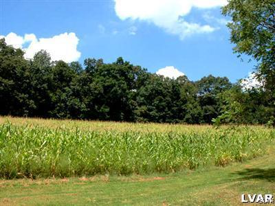 Moyer Road Kutztown, PA 19530 - Photo 12 of 26 Corn or seasonal crops are planted on a portion of
