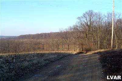Moyer Road Kutztown, PA 19530 - Photo 14 of 26 View of easement driveway to enter the property.
