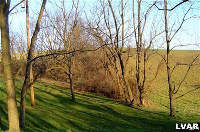 Moyer Road Kutztown, PA 19530 - Photo 17 of 26 Neighboring property beyond tree line.