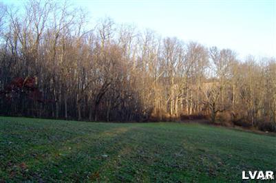 Moyer Road Kutztown, PA 19530 - Photo 18 of 26 Property extends into the woodland.