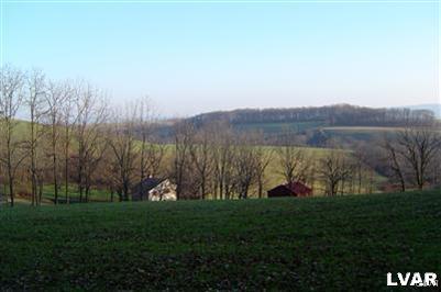 Moyer Road Kutztown, PA 19530 - Photo 2 of 26 Southerly View from the edge of the woods of farmh