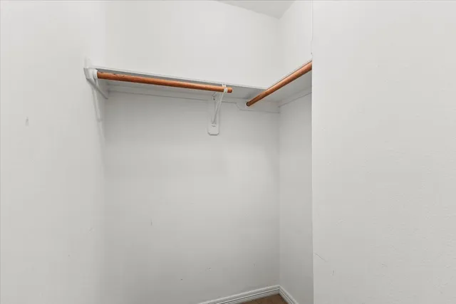 a view of a backyard with a large tree