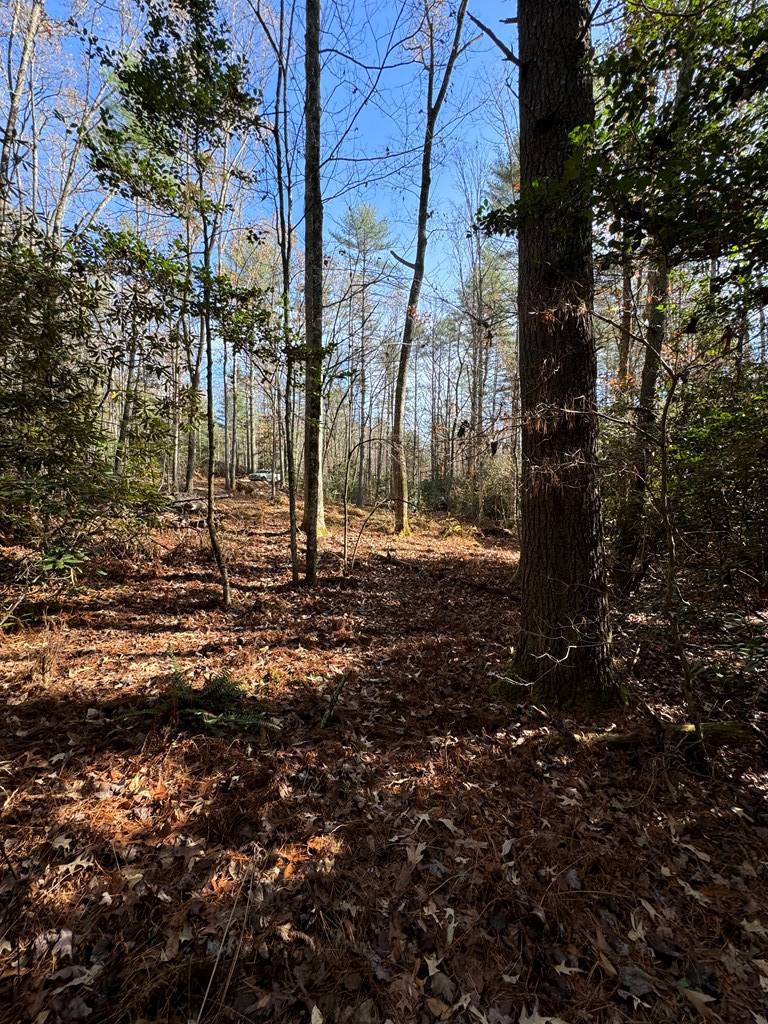 0 Rockridge Road Murphy, NC 28906 - Photo 8 of 9