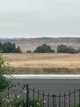 a view of city and lake