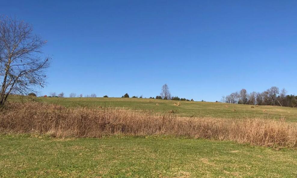 640 Old Fort Road Rocky Mount, VA 24151 - Photo 2 of 20 a view of a lake with houses in the background