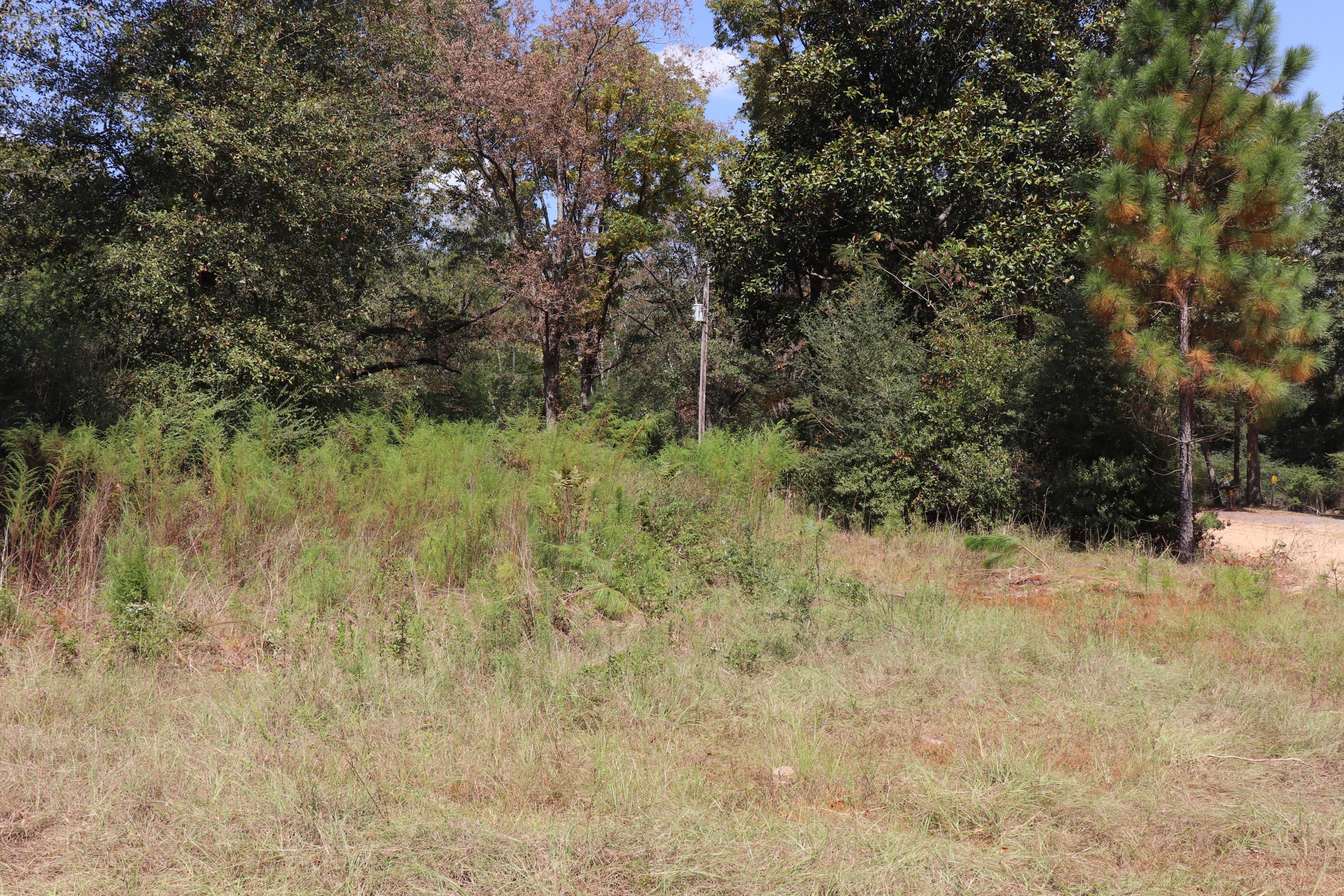 6968 Lee Cook Road Baker, FL 32531 - Photo 7 of 11 a view of a yard with large trees