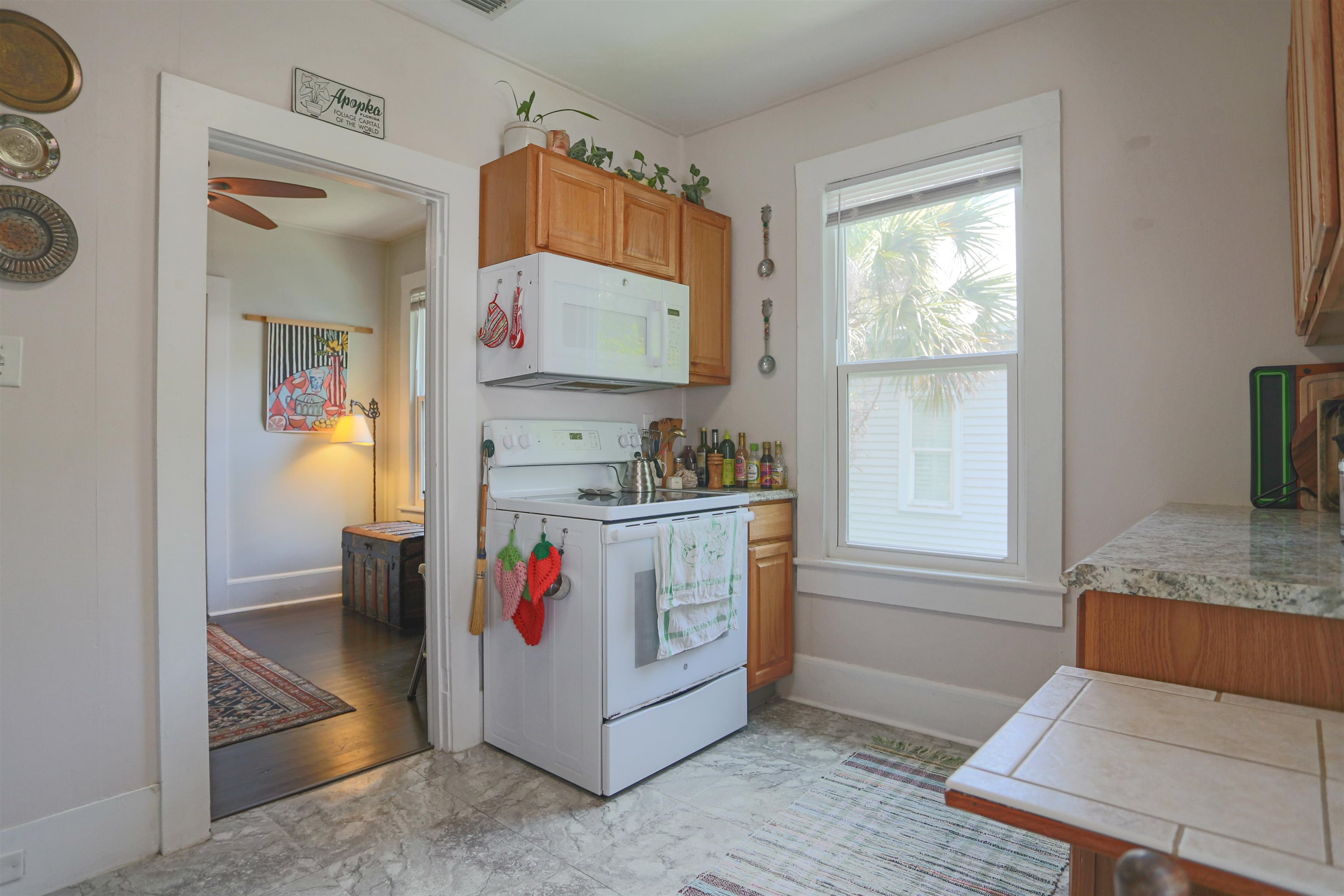 69 Saragossa Street St. Augustine, FL 32084 - Photo 28 of 52