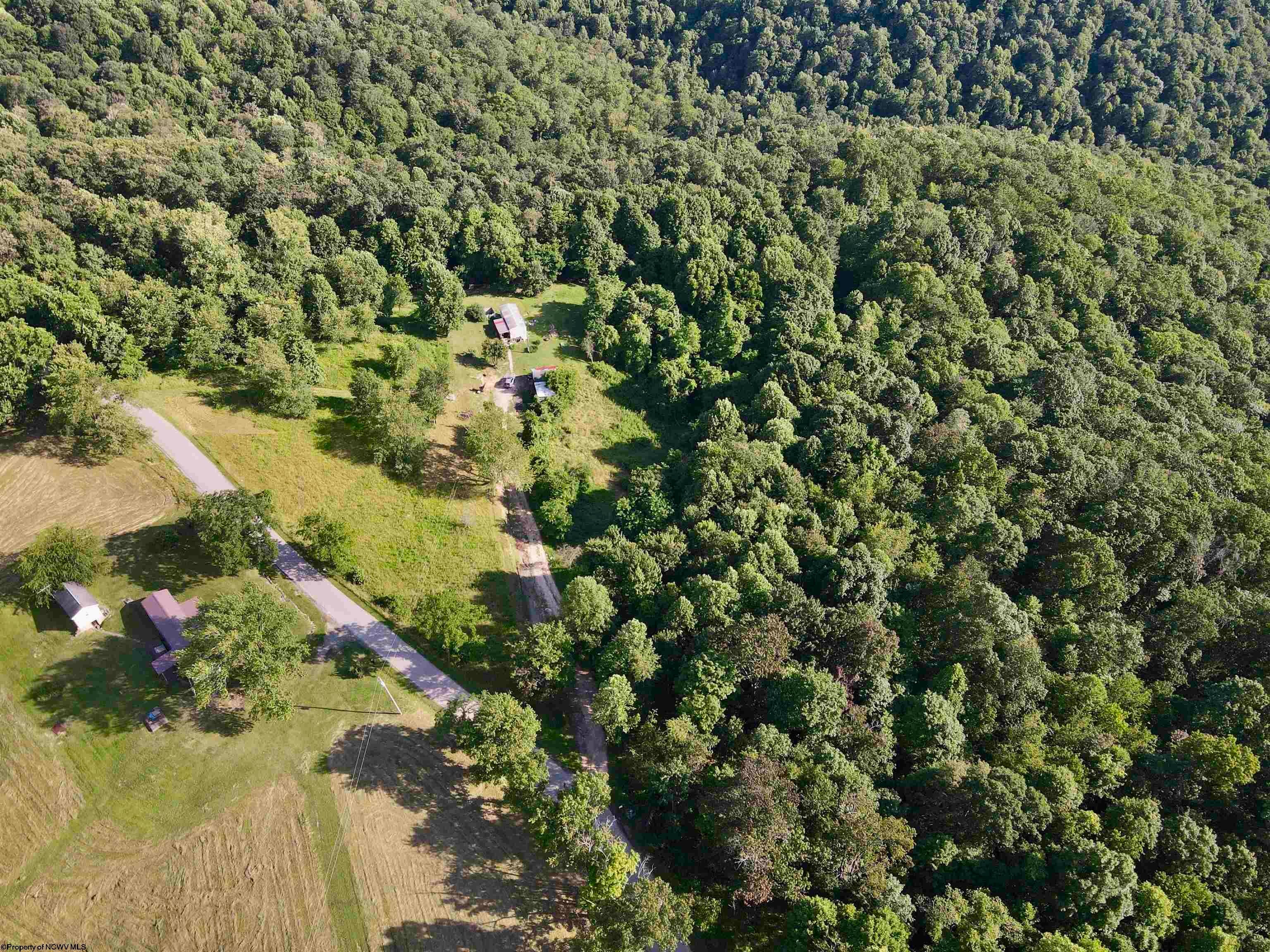 1945 Wilson Ridge Road Duck, WV 25063 - Photo 21 of 26 Gallery Image 21