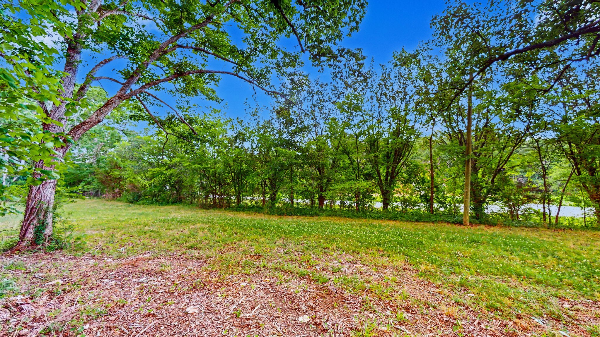 0 Morgan Road Rockvale, TN 37153 - Photo 14 of 24