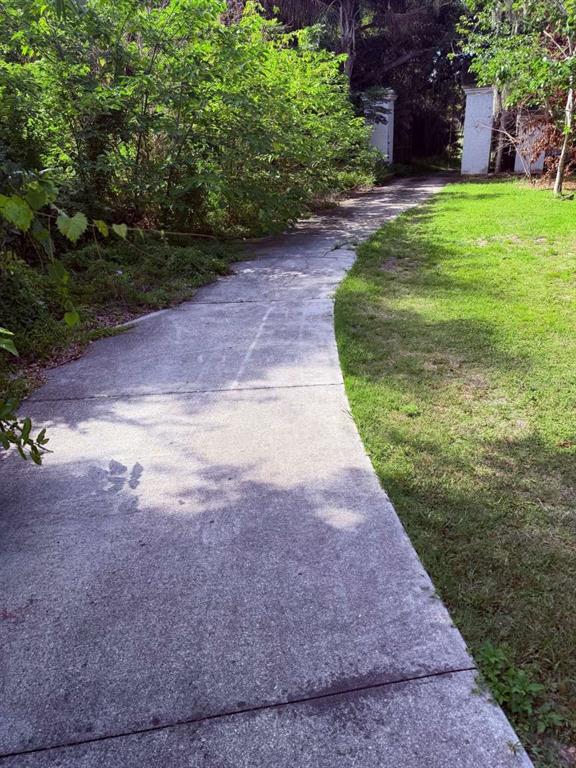 10984 Park Ridge Gotha Road Windermere, FL 34786 - Photo 3 of 6 a view of a backyard with plants and large trees