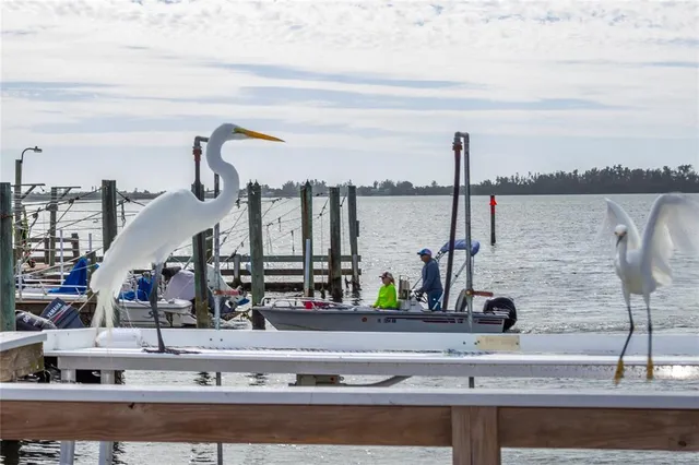 a view of patio with chairs and tables