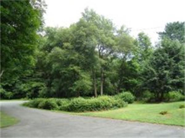 81 Arcadia Road Westwood, MA 02090 - Photo 8 of 29 Gallery Image 8