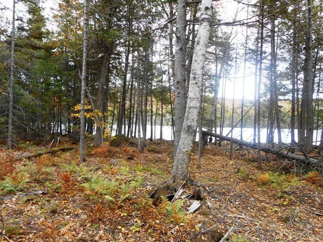 Tbd Pug Lakes Road Lakeville, ME 04487 - Photo 3 of 11 Photo