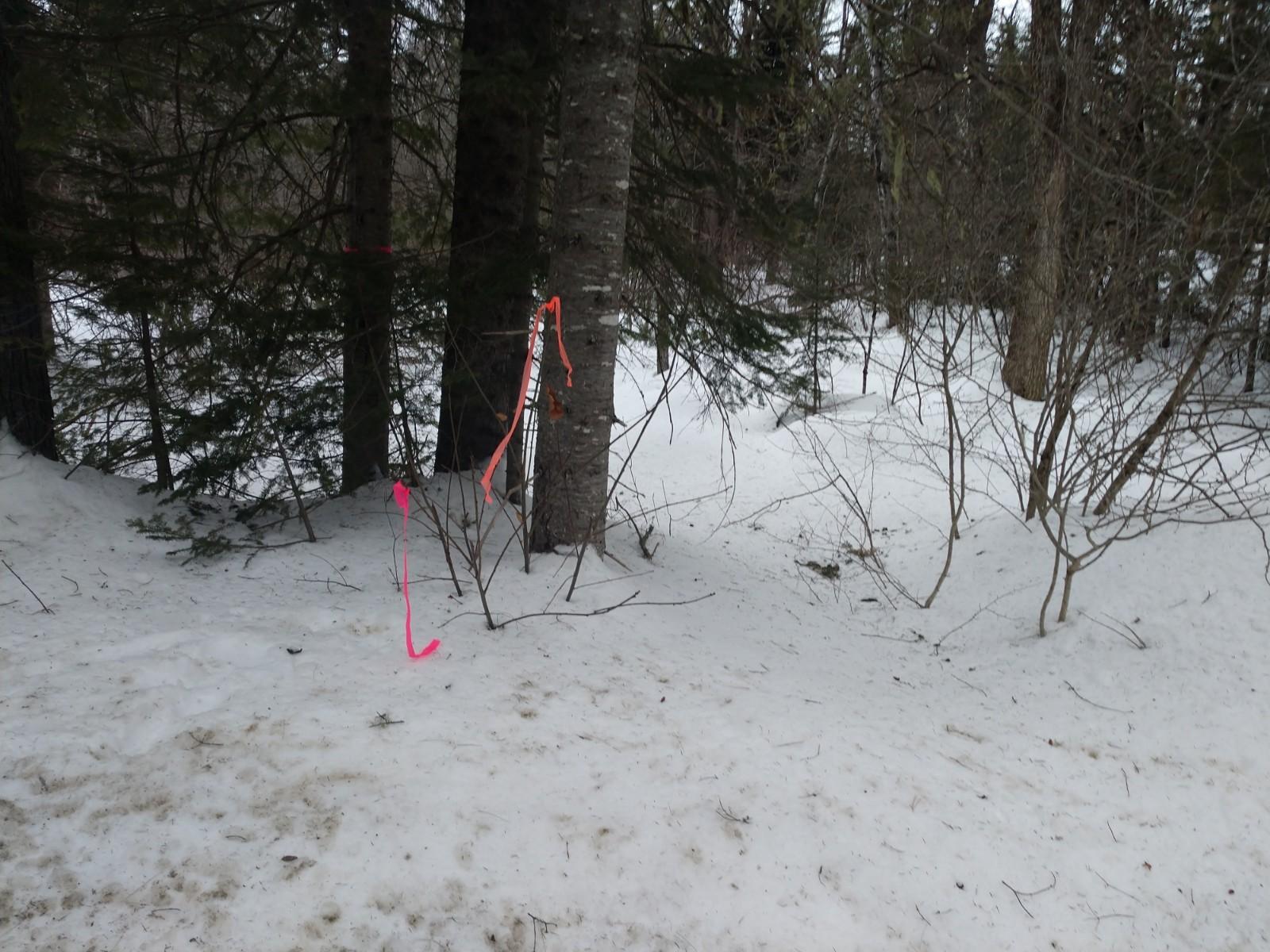 Off Kennedy Road Medford, ME 04463 - Photo 4 of 4 IMG_20190212_162213719
