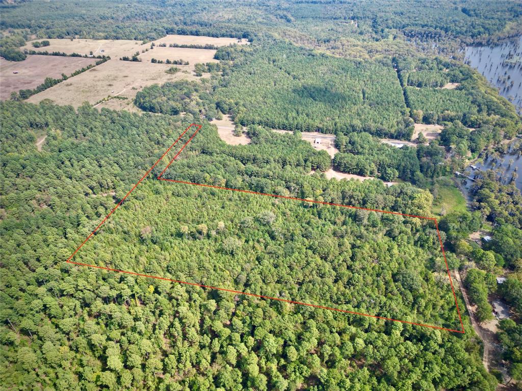 0 Rudd Road Ida, LA 71044 - Photo 2 of 16 Expansive acreage featuring dense tree coverage