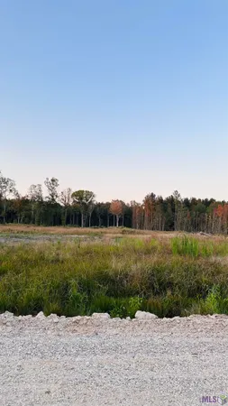 $240,000 | 16457 Peacock Drive, Walker, LA 70785