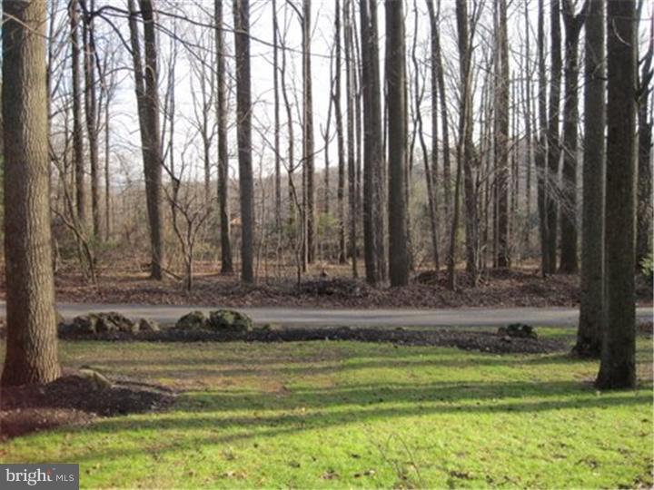 255 Painter Road Media, PA 19063 - Photo 2 of 23 Front Yard