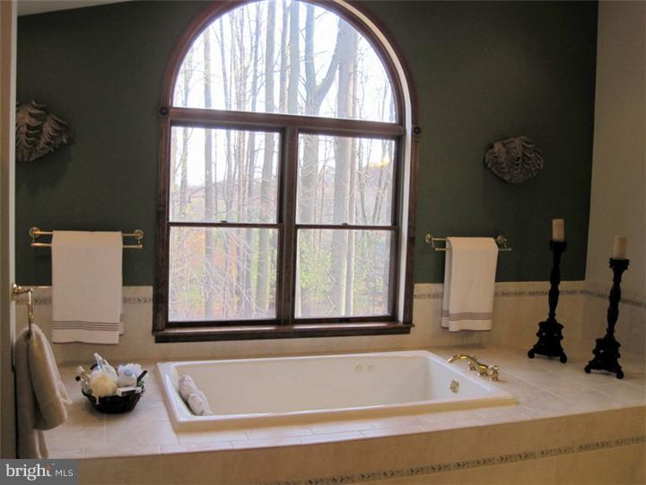 255 Painter Road Media, PA 19063 - Photo 13 of 23 Master Bathroom