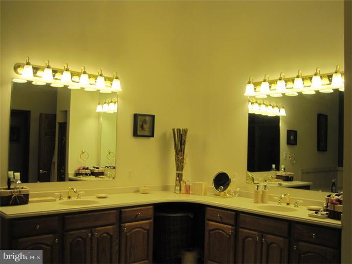255 Painter Road Media, PA 19063 - Photo 14 of 23 Master Bathroom