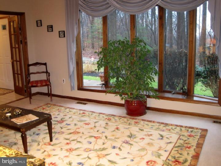 255 Painter Road Media, PA 19063 - Photo 4 of 23 Living Room