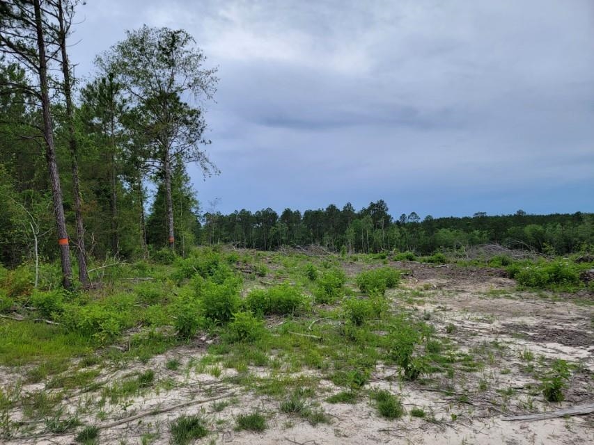 0 Scranage Road Atmore, AL 36502 - Photo 1 of 4