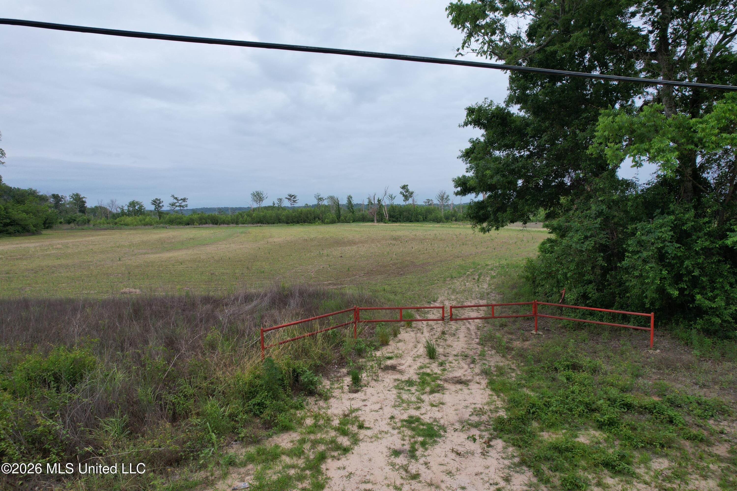 Lake Mary Road Woodville, MS 39669 - Photo 30 of 39 DJI_0997