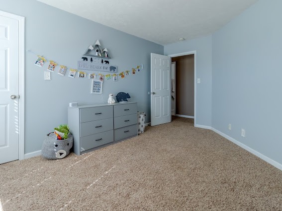 3777 Harvest Ridge Clarksville, TN 37040 - Photo 21 of 27