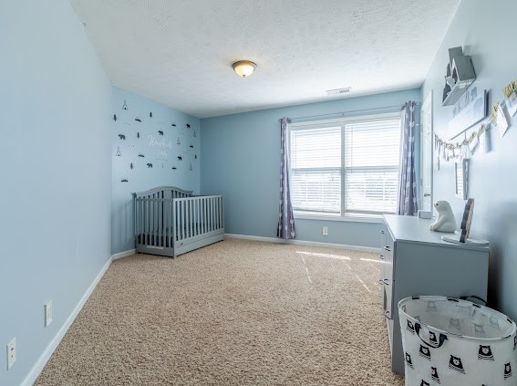 3777 Harvest Ridge Clarksville, TN 37040 - Photo 22 of 27