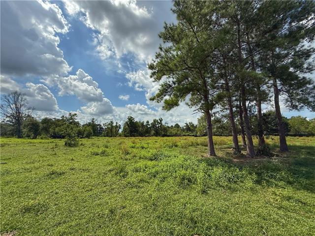 43058 Happywoods Road Hammond, LA 70403 - Photo 2 of 11