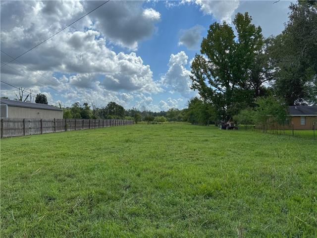 43058 Happywoods Road Hammond, LA 70403 - Photo 5 of 11