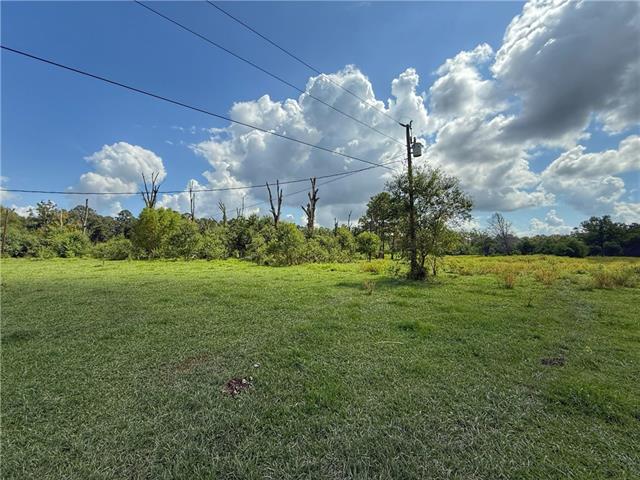 43058 Happywoods Road Hammond, LA 70403 - Photo 8 of 11