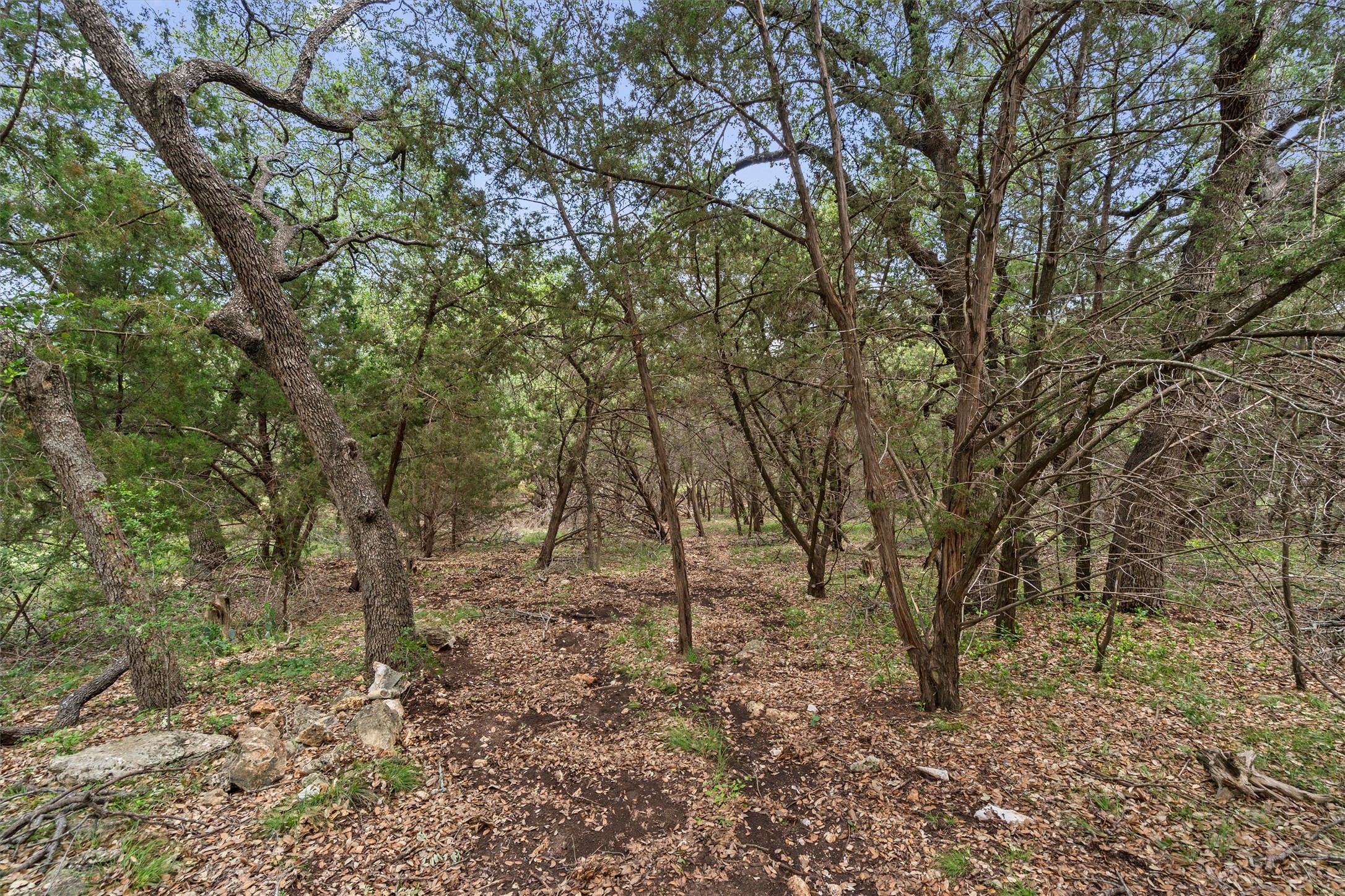 120 East Rustle Cove Georgetown, TX 78628 - Photo 8 of 25 a view of outdoor space