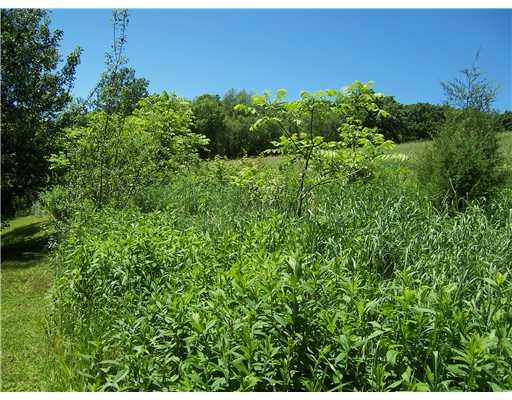 481 Carbon Center Road Butler, PA 16002 - Photo 17 of 18 Land/Lot. Fenced in Property, Spring in the gulley.