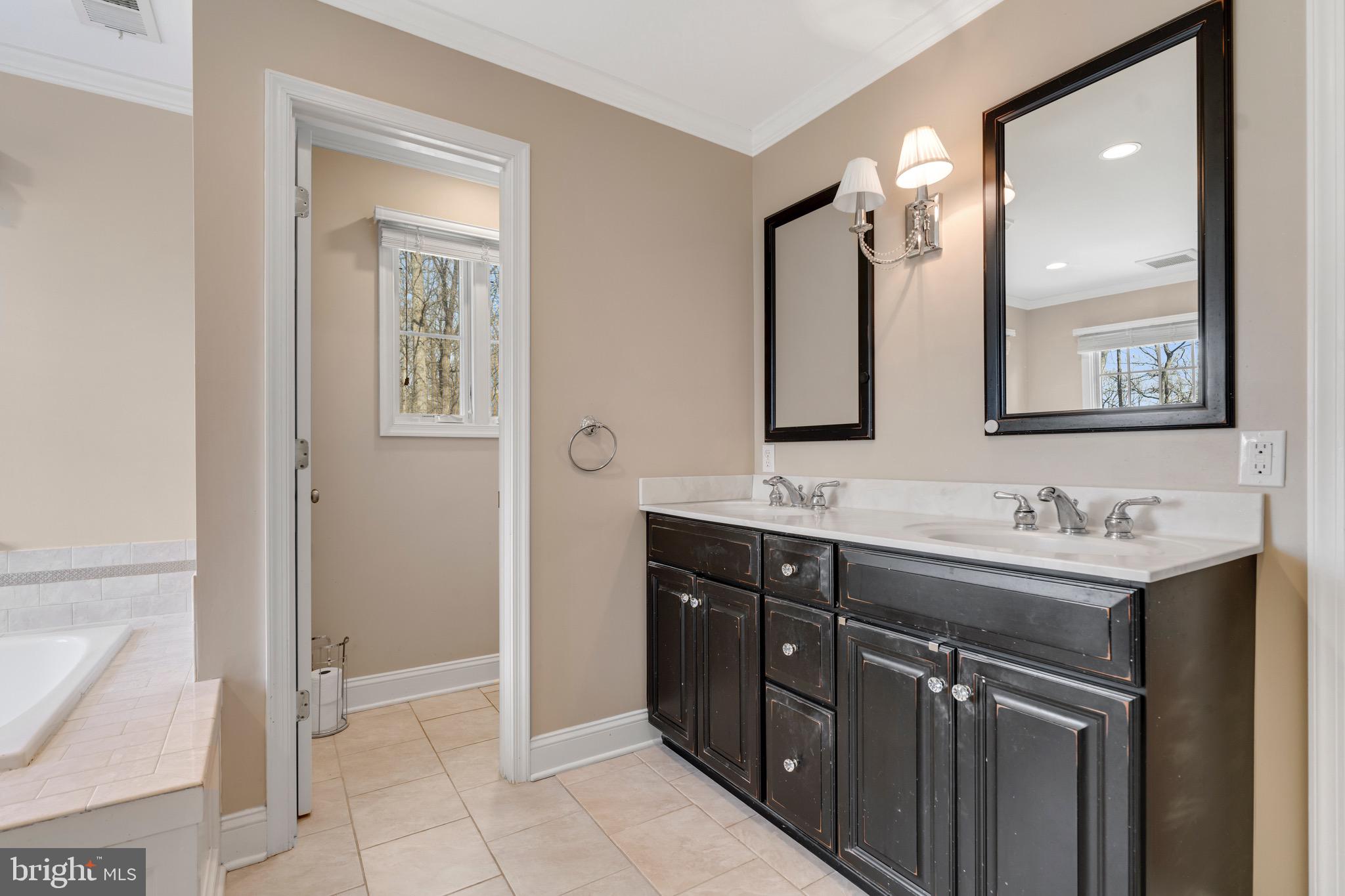 3618 Jackson Cabin Road Phoenix, MD 21131 - Photo 44 of 68 a bathroom with a sink a mirror and a vanity