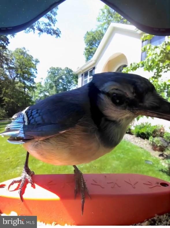 3618 Jackson Cabin Road Phoenix, MD 21131 - Photo 56 of 68