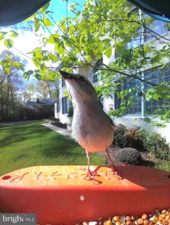 3618 Jackson Cabin Road Phoenix, MD 21131 - Photo 67 of 68