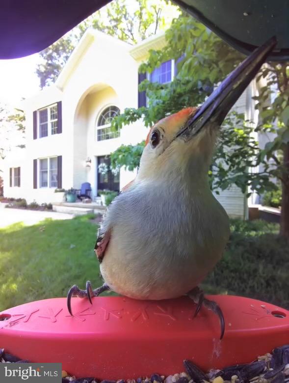 3618 Jackson Cabin Road Phoenix, MD 21131 - Photo 9 of 68