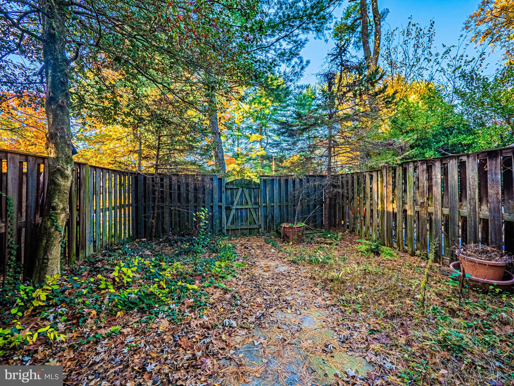 9610 Kanfer Court Gaithersburg, MD 20886 - Photo 37 of 41 a backyard of a house with green landscape