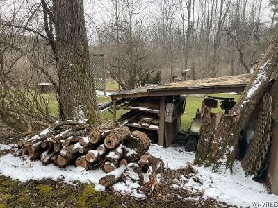 8110 Peavy Road Allen, NY 14709 - Photo 11 of 47