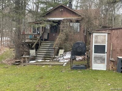 8110 Peavy Road Allen, NY 14709 - Photo 2 of 47