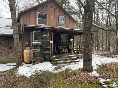 8110 Peavy Road Allen, NY 14709 - Photo 3 of 47